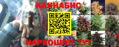 СК Дубна