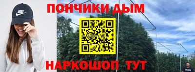 СК Дубна