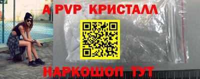 СК Дубна