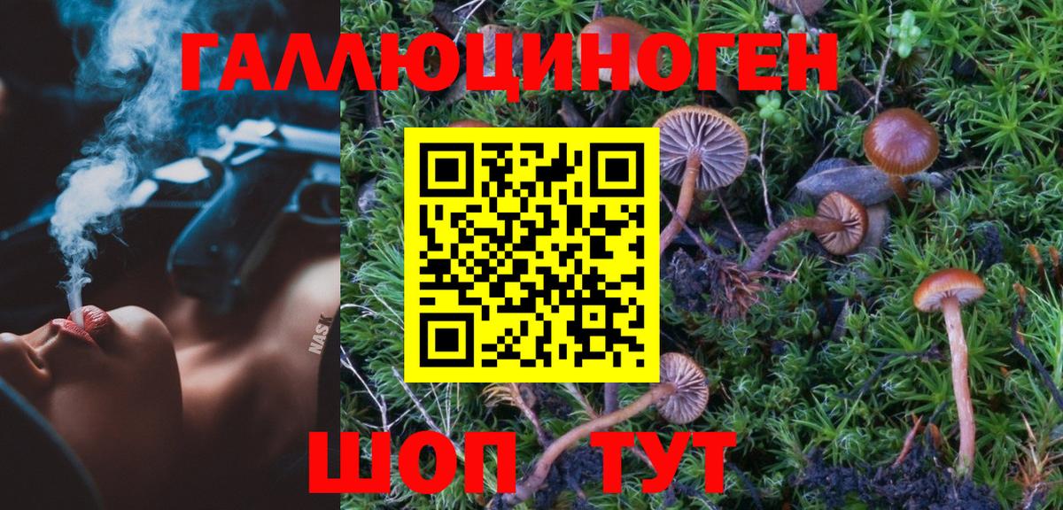 Можайск  Псилоцибиновые грибы мухоморы  Вход с VPN 