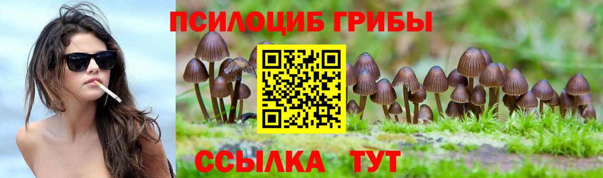 Псилоцибиновые грибы Psilocybe Можайск